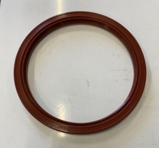 Gufero 170x200x15 GP Si